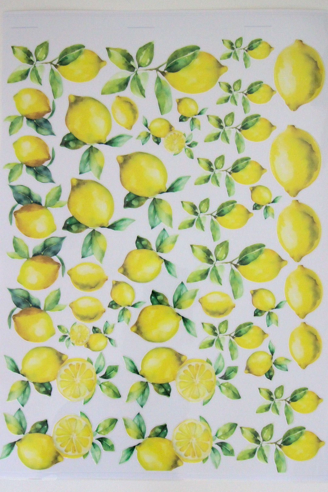 Zesty in Positano
